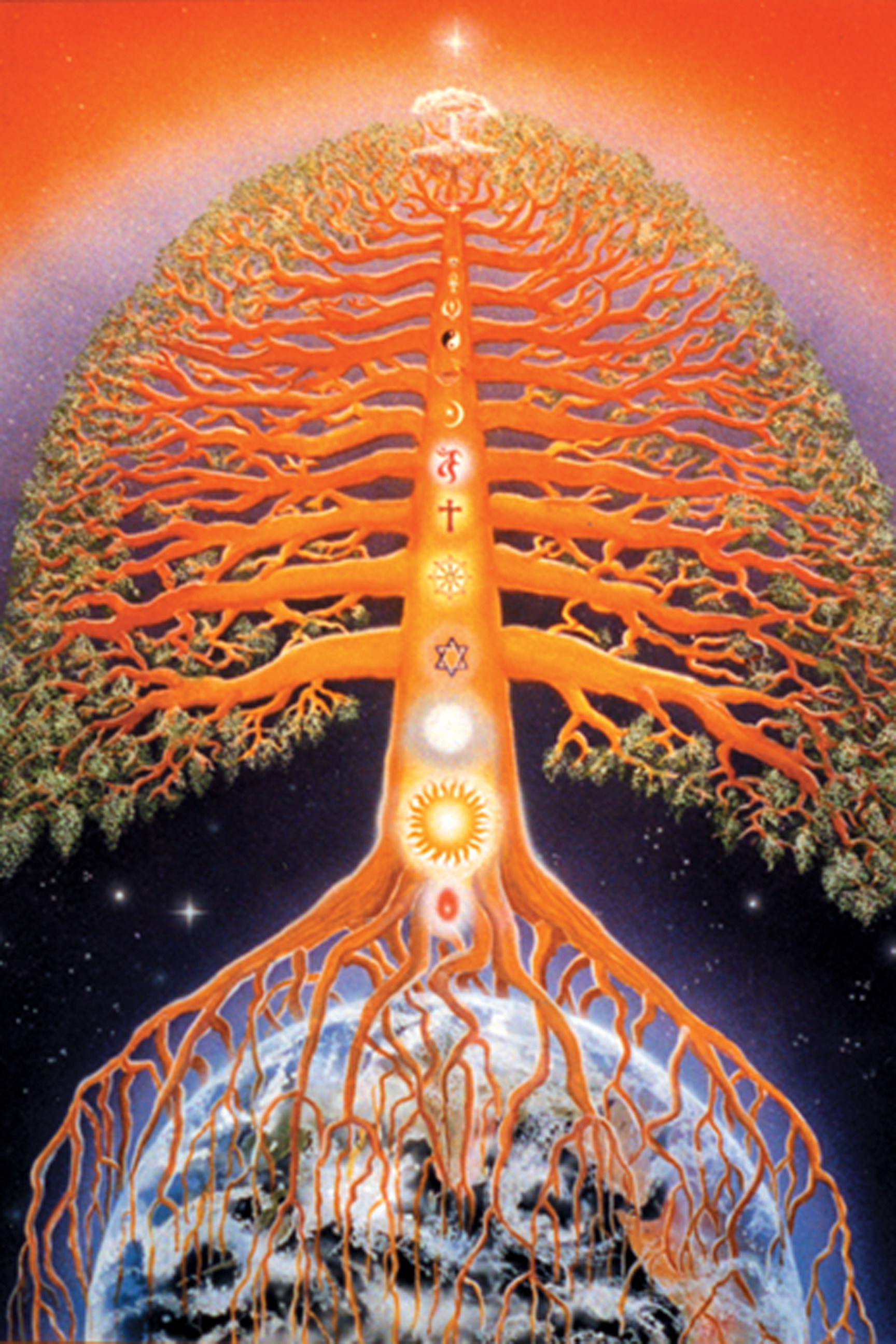 Brahma Kumaris - Tree in Time