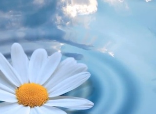Ocean of Purity Meditation.mp4
