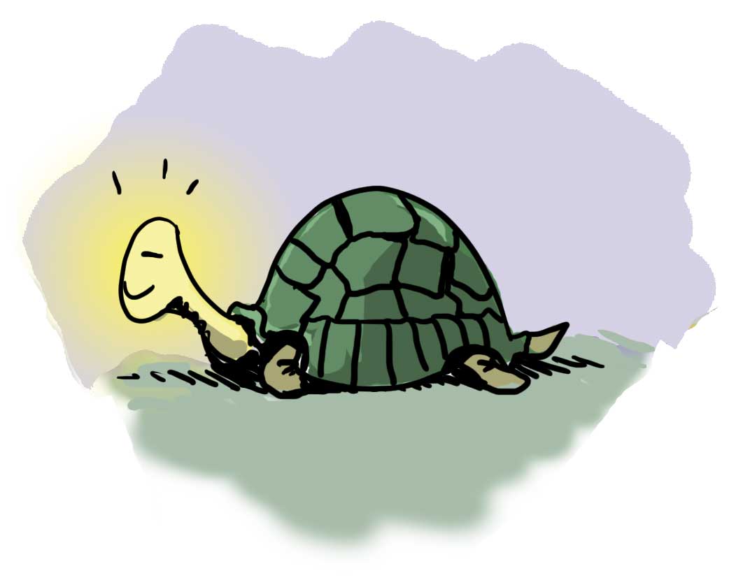 Exercise Your Power to Withdraw with Natalie and the Tortoise