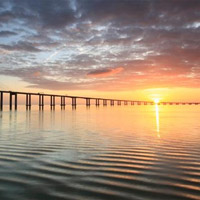 El puente hacia la sabiduría