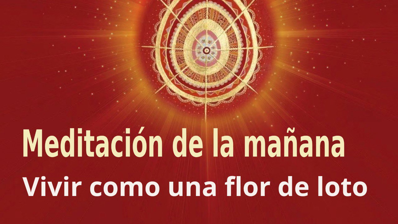 Meditación de la mañana:  Vivir como una flor de loto , con José María Barrero (4 Febrero 2023)