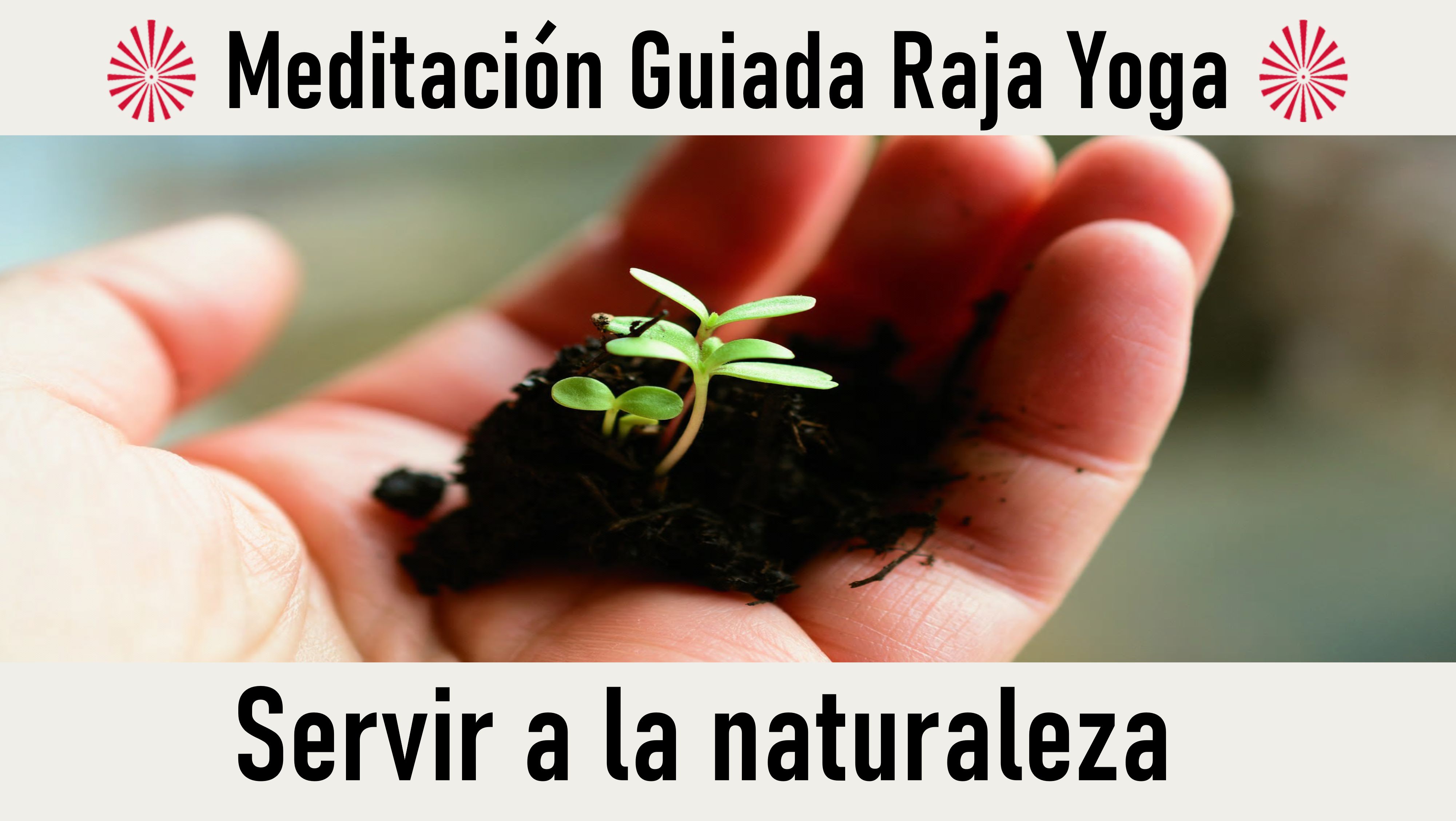 Meditación Raja Yoga:   Servir a la naturaleza (22 Octubre 2020) On-line desde Madrid