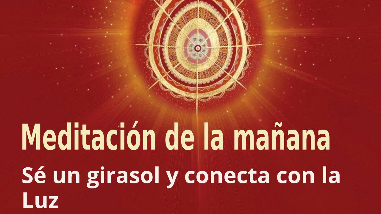 Meditación de la mañana:  Sé un girasol y conecta con la Luz , con Enrique Simó (21 Marzo 2023)