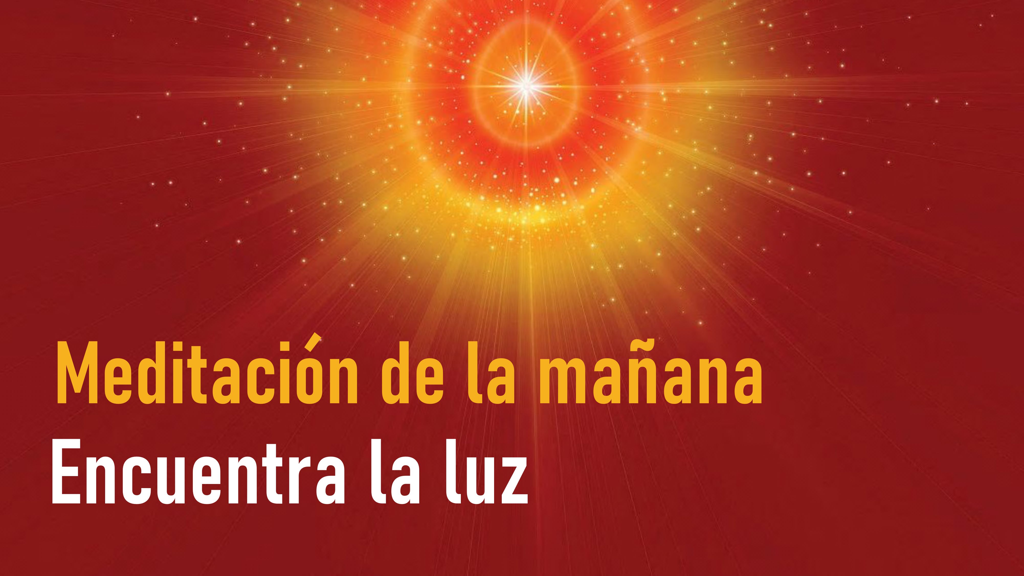 Meditación de la mañana: Encuentra la luz (24 Agosto 2020)