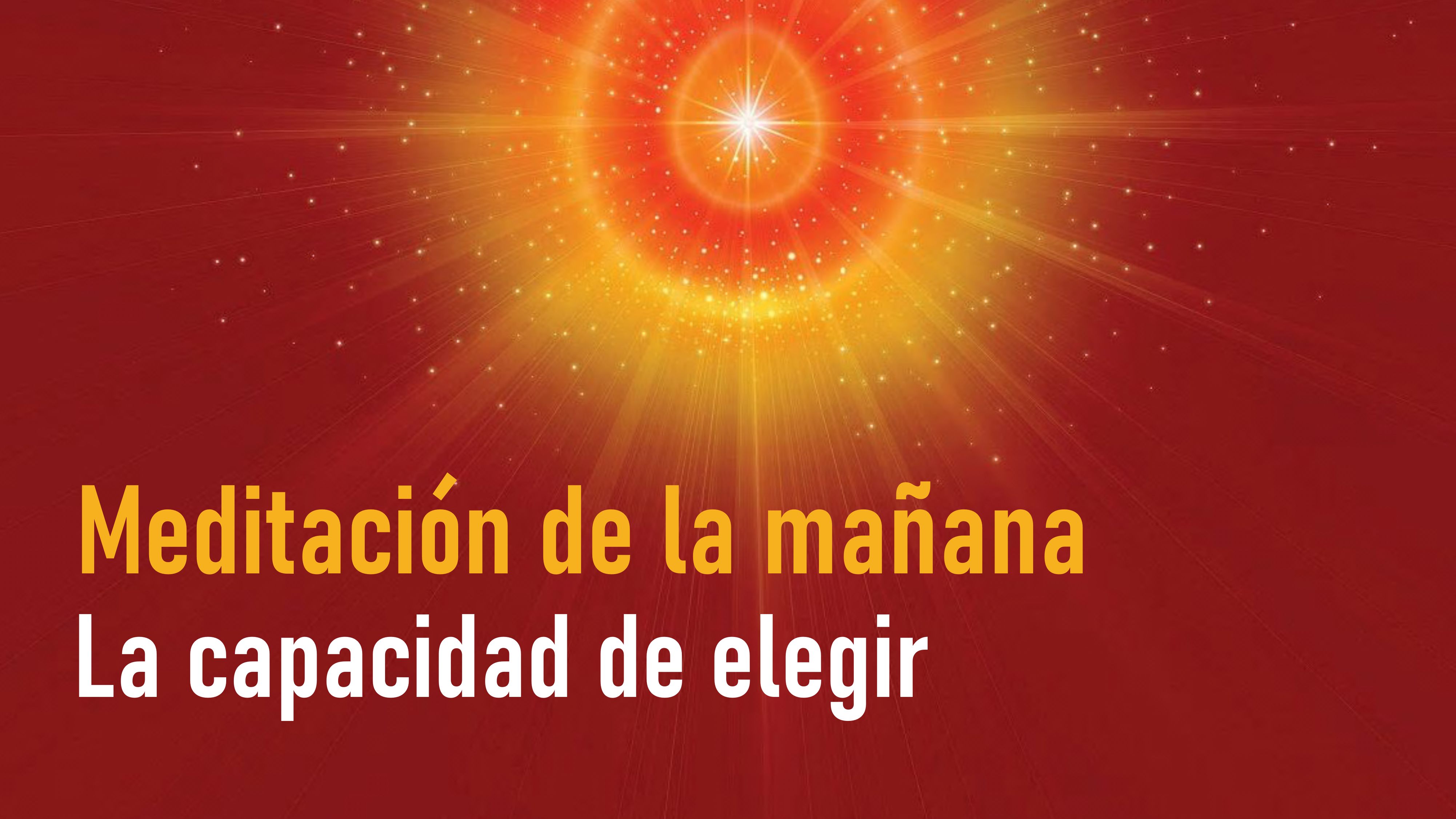 Meditación de la Mañana: La capacidad de elegir (8 Julio 2020)