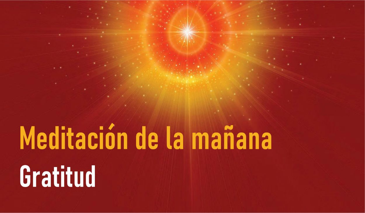 Meditación Guiada de la Mañana: Gratitud  (8 Mayo 2020)