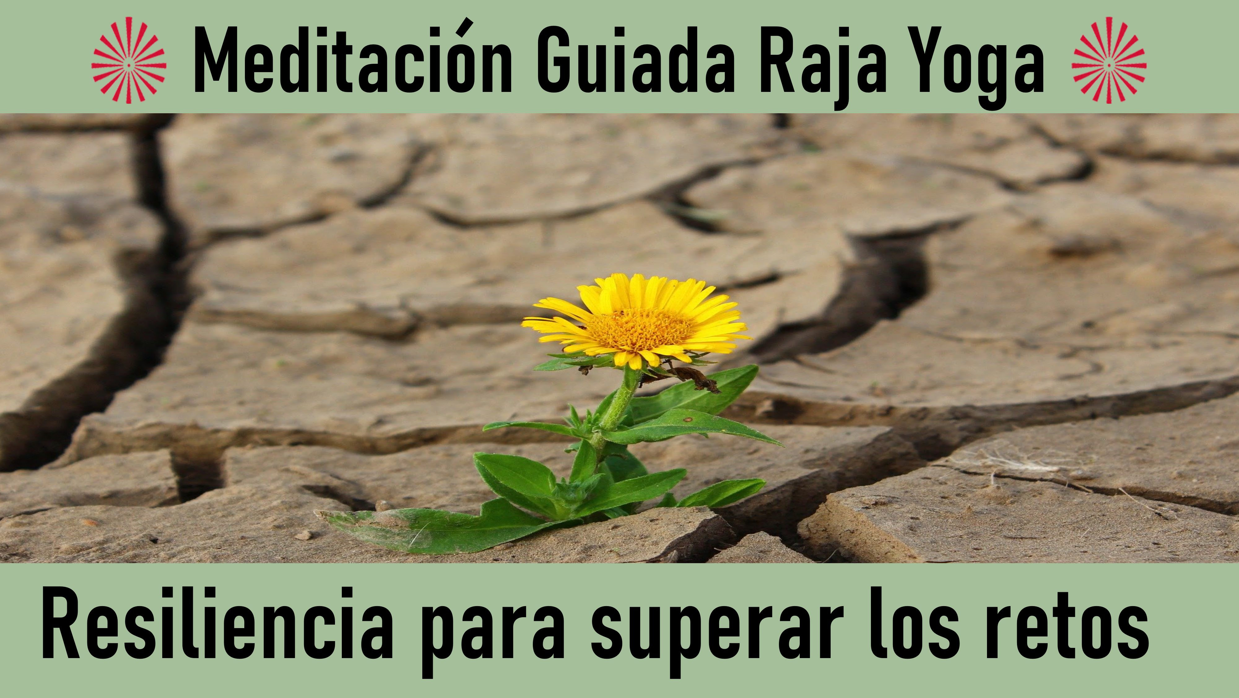 Meditación Raja Yoga: Resiliencia para superar los retos (4 Junio 2020) On-line desde Valencia