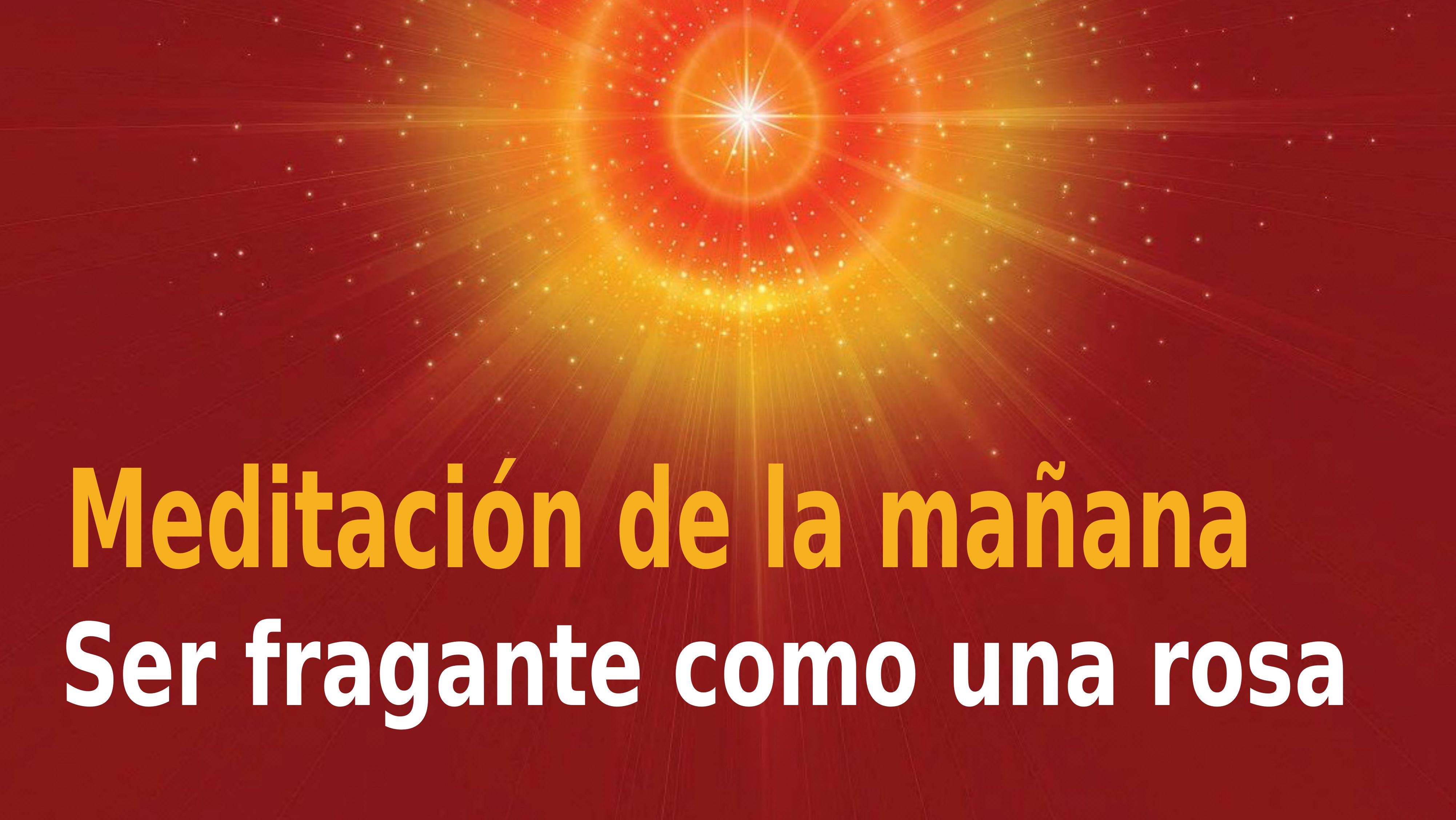 Meditación Raja Yoga de la mañana: Ser fragante como una rosa (14 Noviembre 2020)