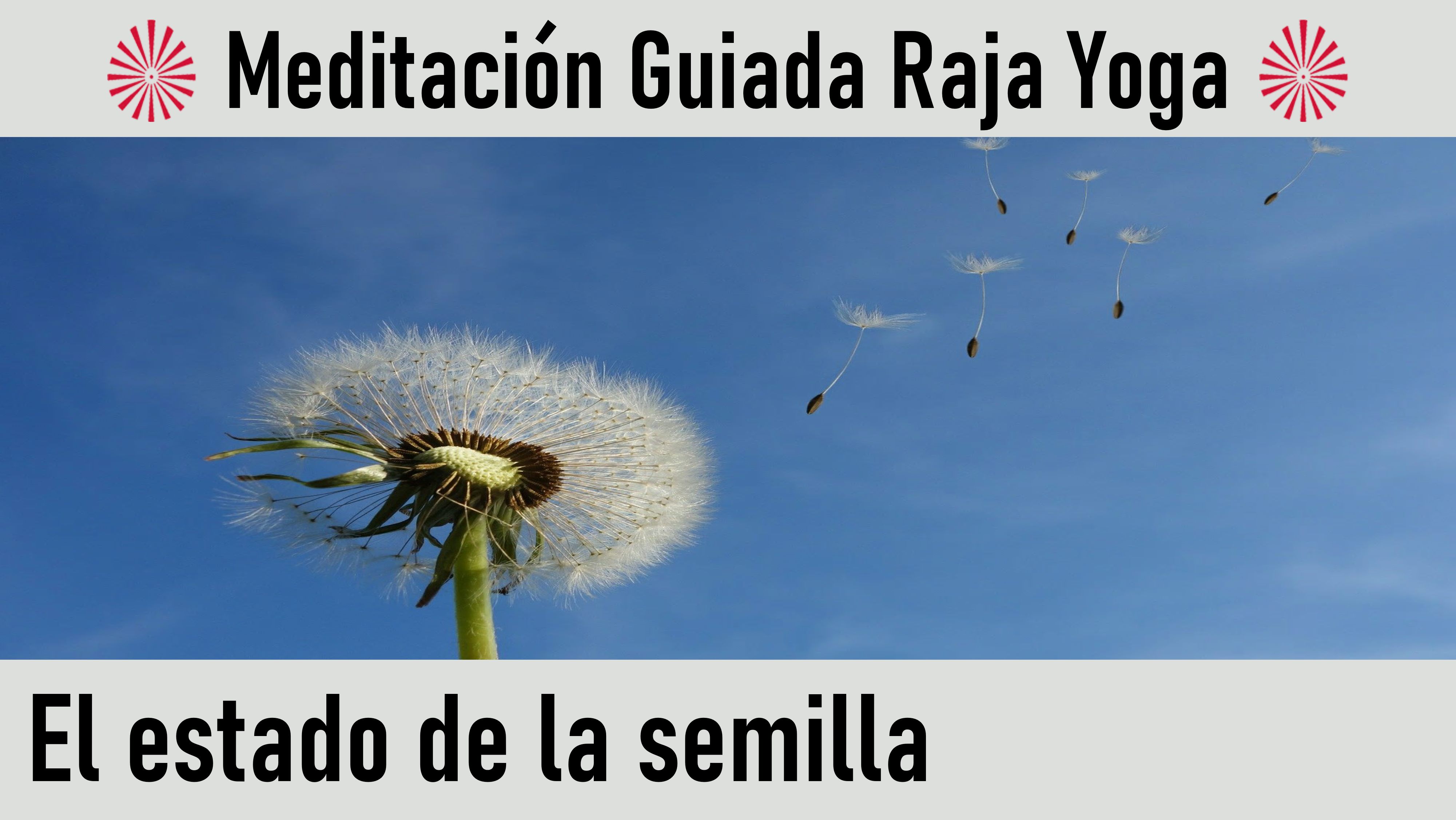 Meditación Raja Yoga: “El estado de la semilla“ (19 Mayo 2020) On-line desde Madrid
