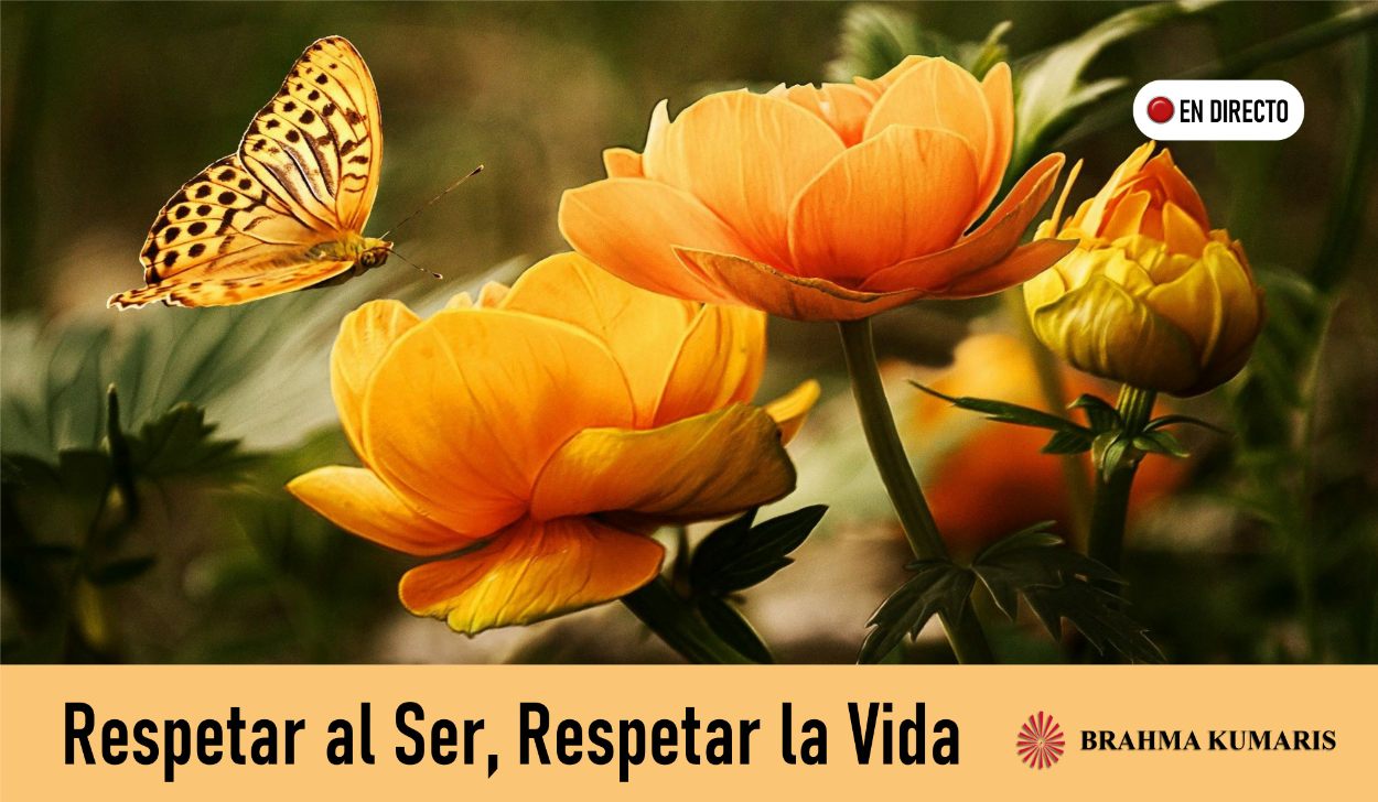 26 Abril 2020  Meditación Guiada:  Respetar al ser, respetar la vida