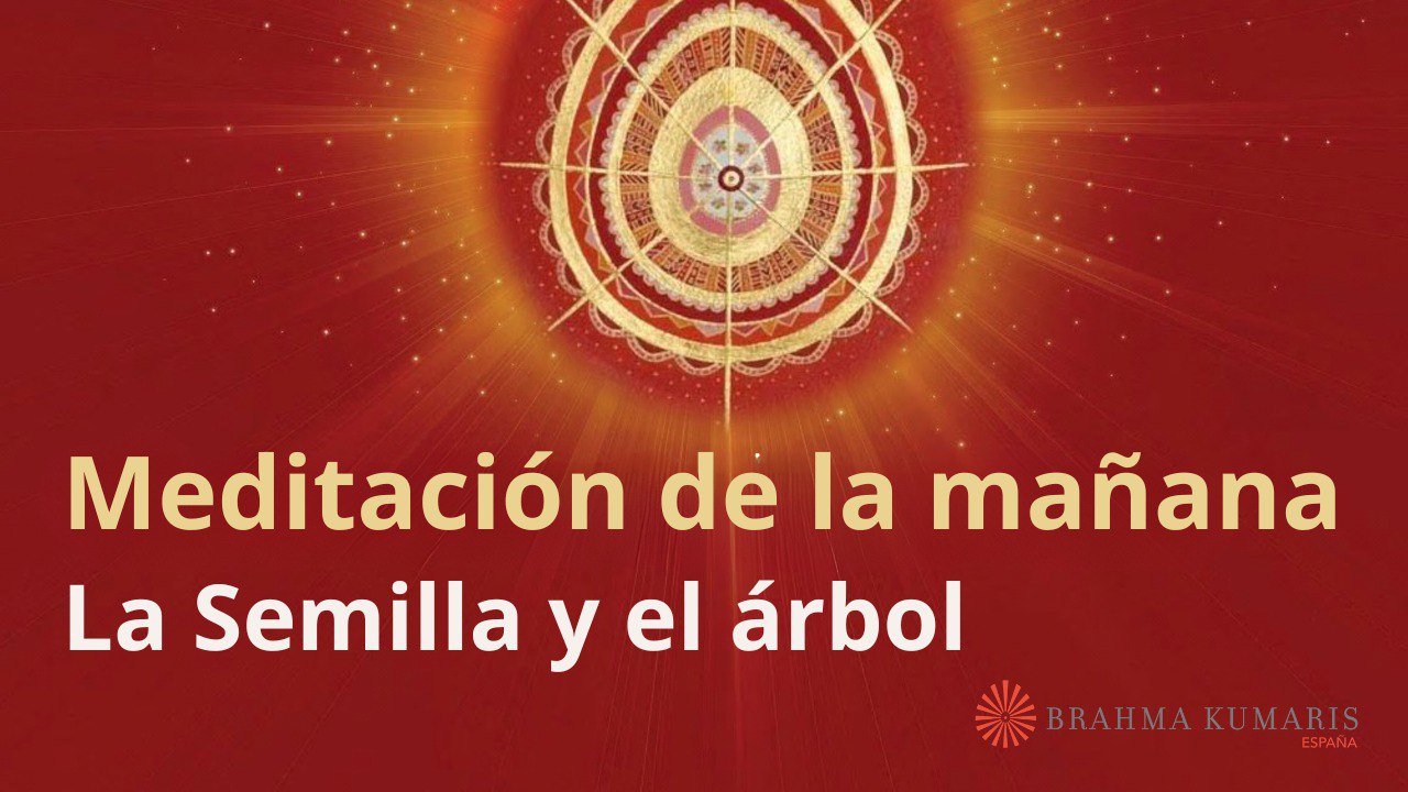 Meditación de la mañana:  La Semilla y el árbol, con Esperanza Santos (27 Octubre 2023)