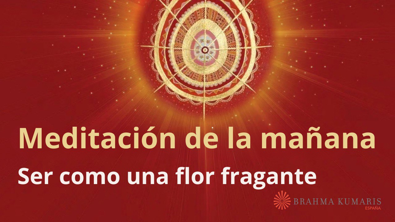 Meditación de la mañana:  Ser como una flor fragante, con José Mari Barrero (15 Junio 2024)