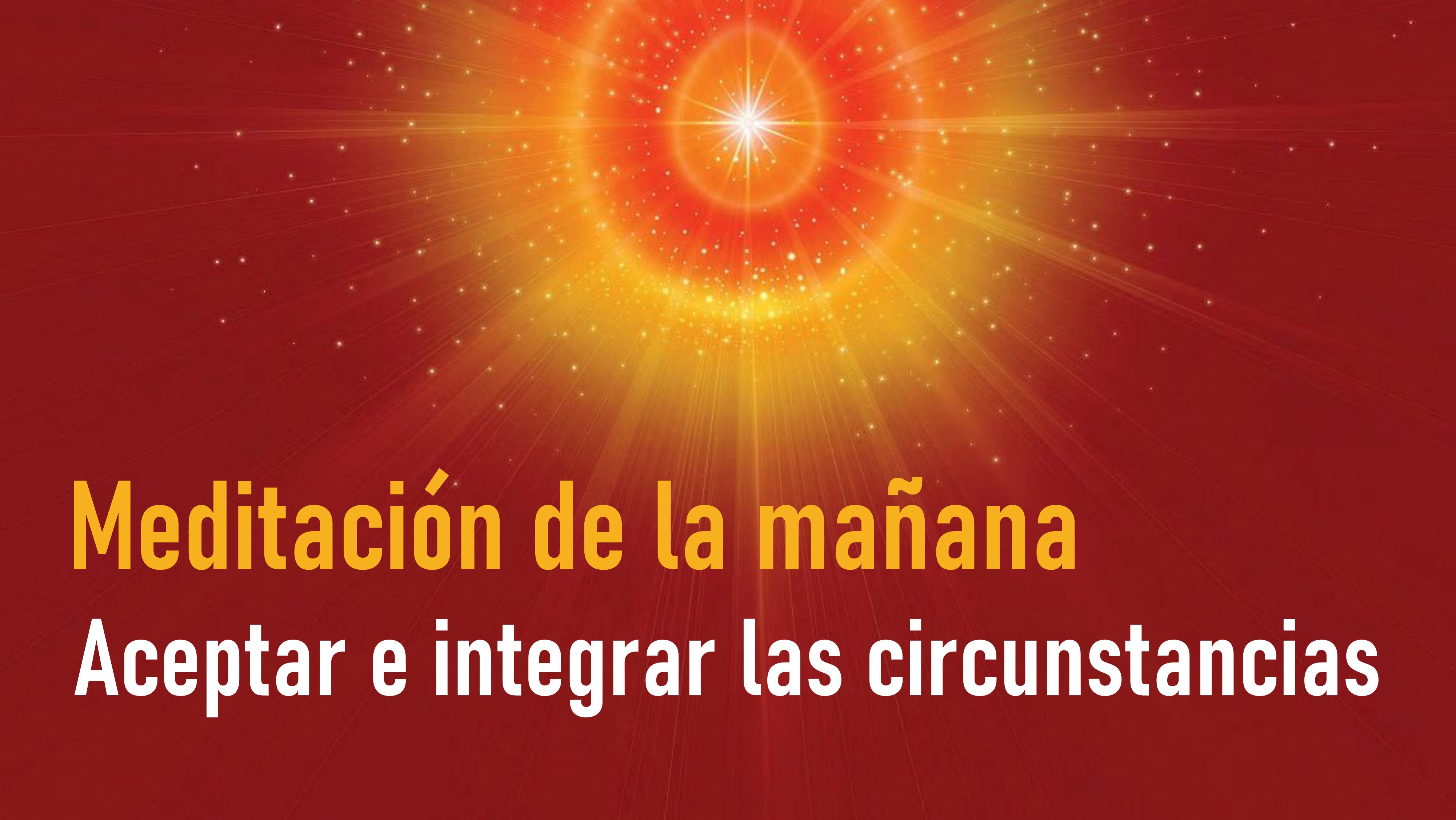 Meditación de la mañana: Aceptar e integrar las circunstancias (29 Julio 2020)