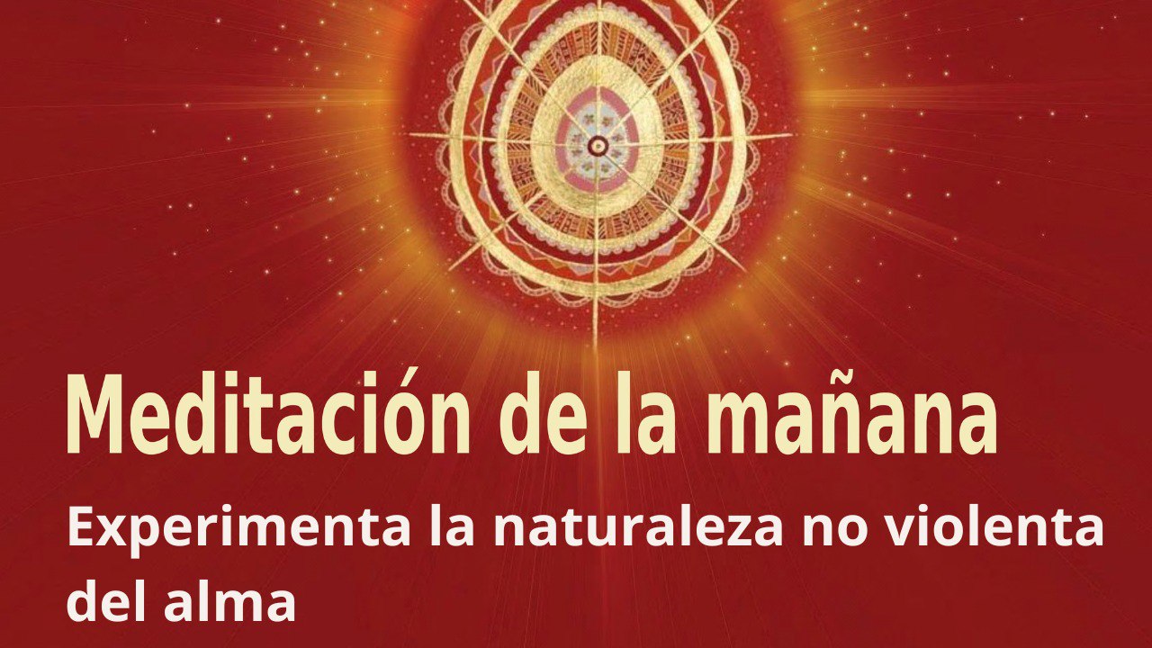 Meditación de la mañana: Experimenta la naturaleza no violenta del alma , por Guillermo Simó (28 Junio 2022)