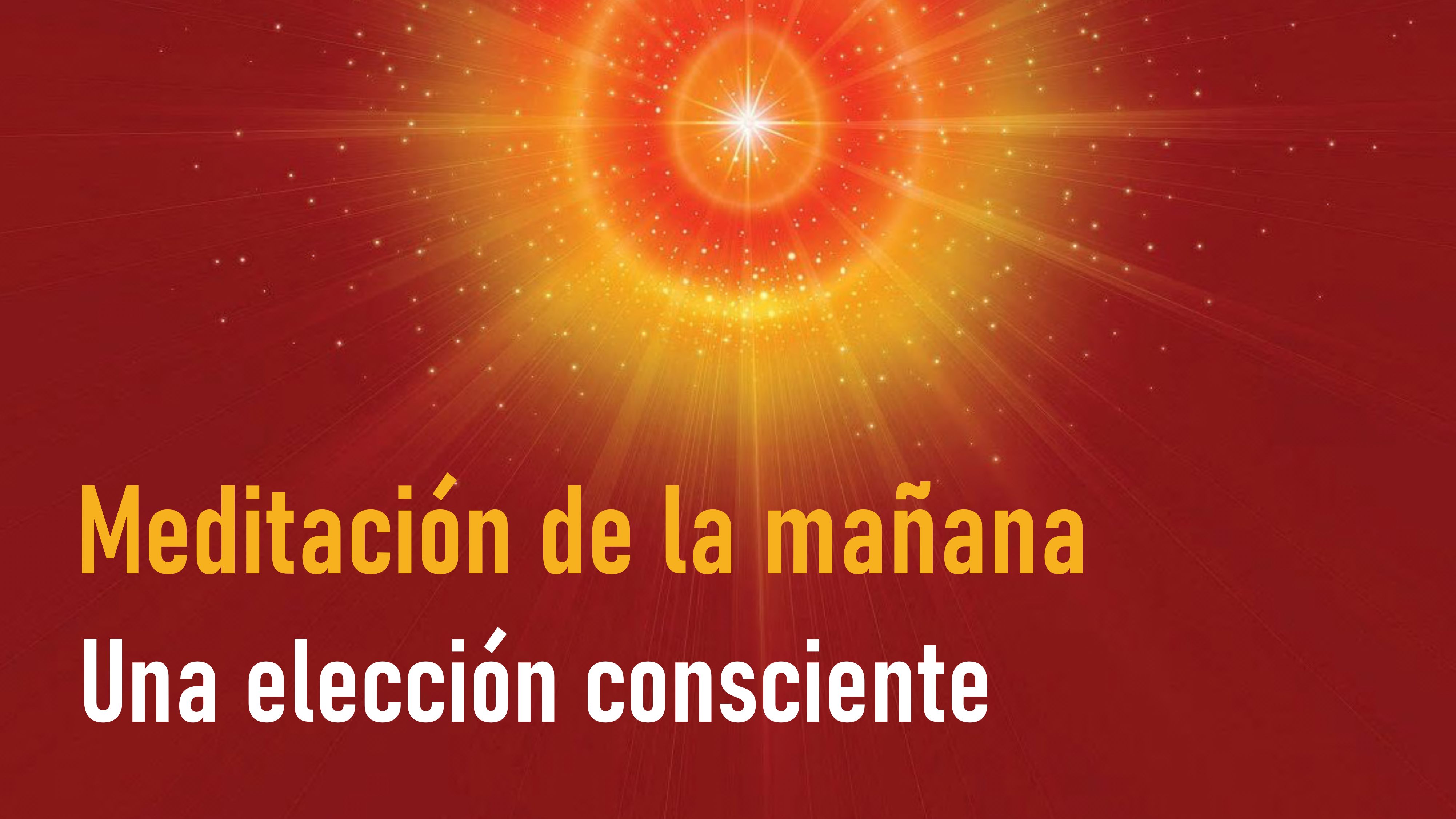 Meditación por la Mañana: Una elección consciente  (3 Junio 2020)