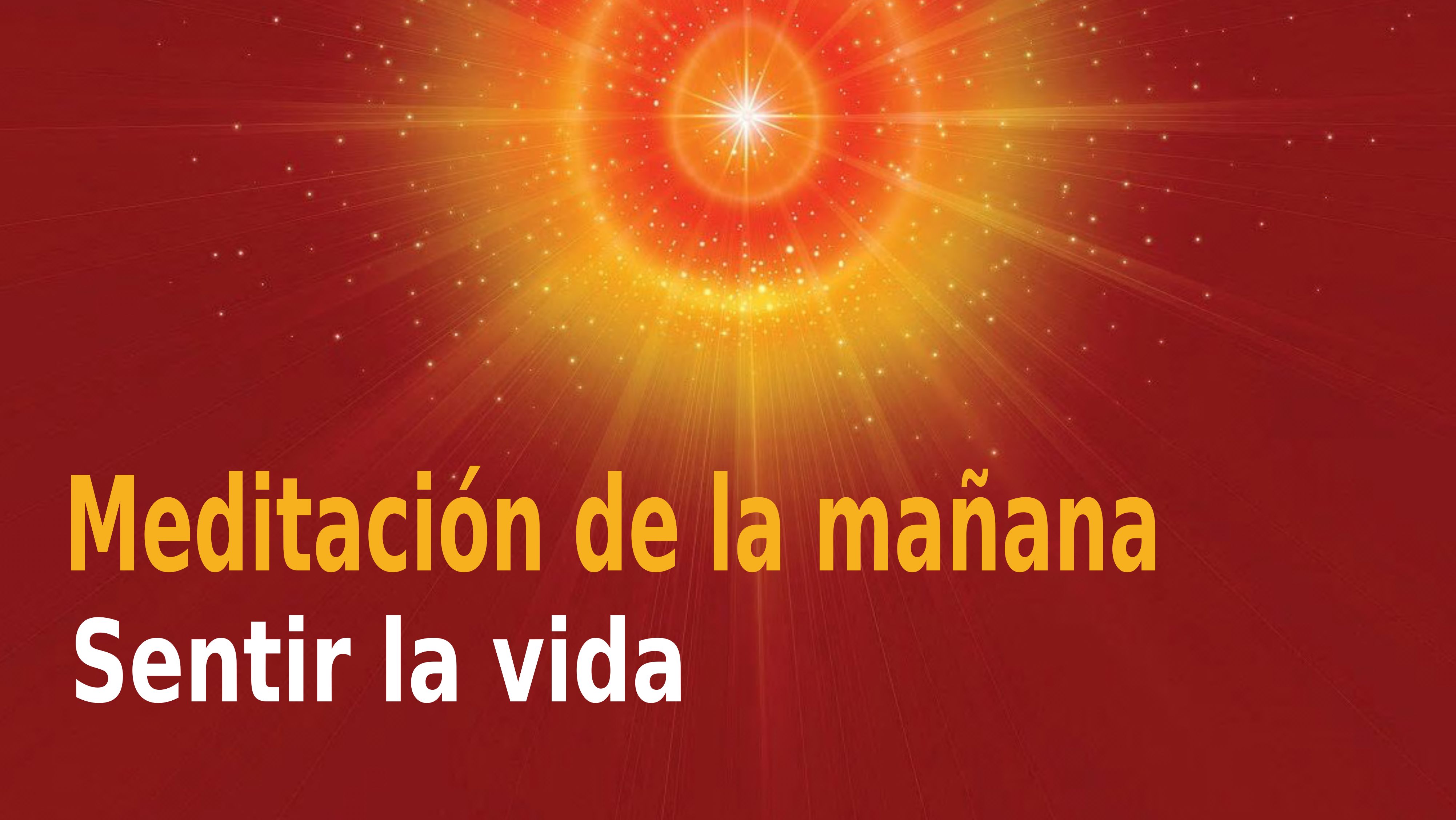 Meditación de la mañana Raja Yoga: Sentir la vida  (28 Octubre 2020)