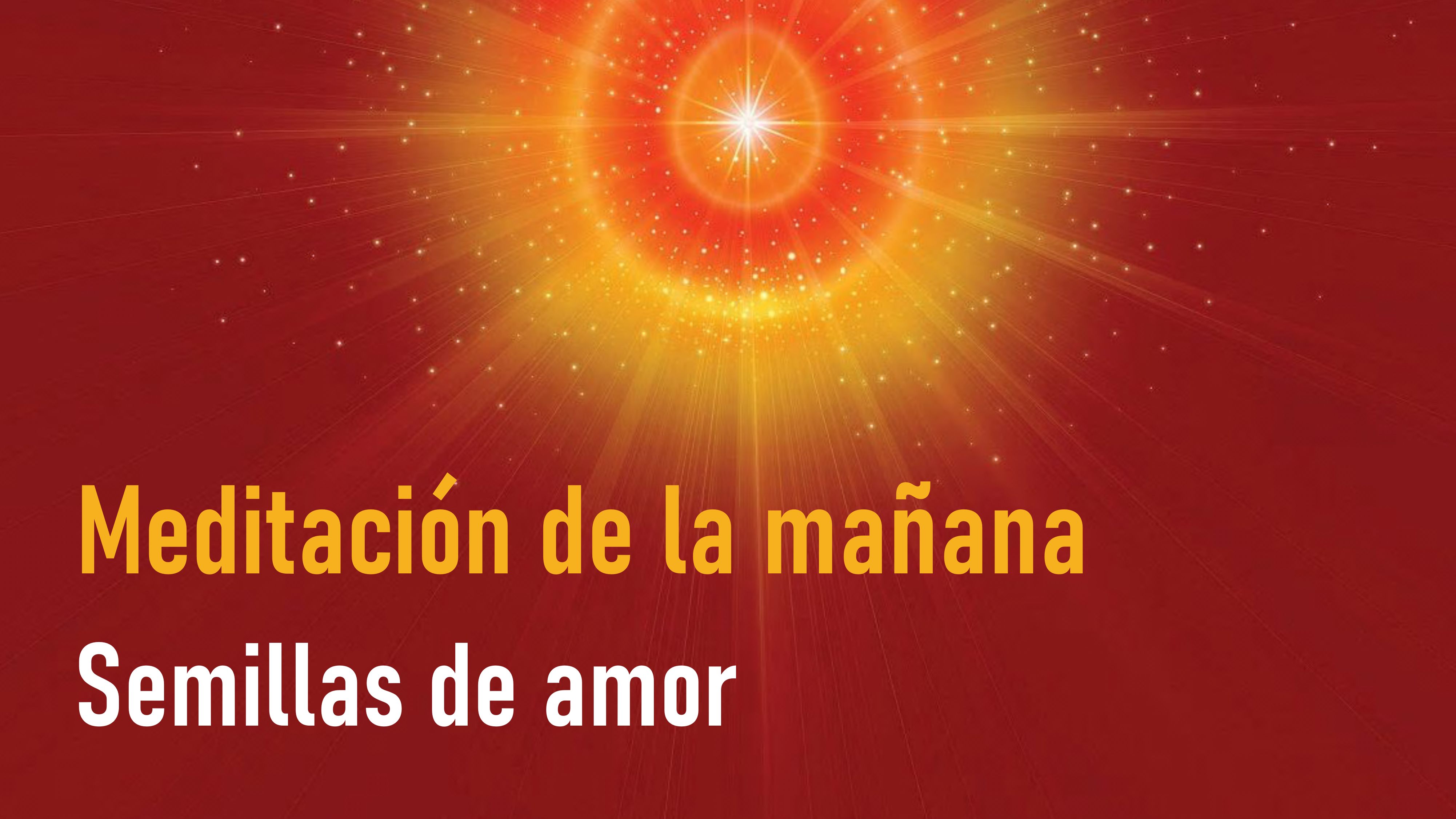 Meditación de la Mañana: Semillas de amor (1Junio 2020)