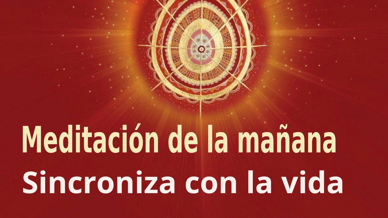 Meditación de la mañana:  Sincroniza con la vida , con Enrique Simó (28 Febrero 2023)