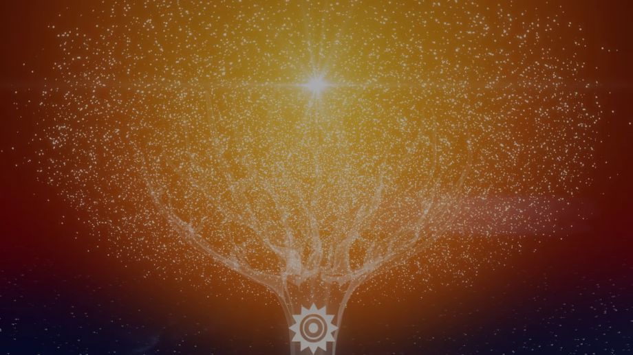 The Tree in Time