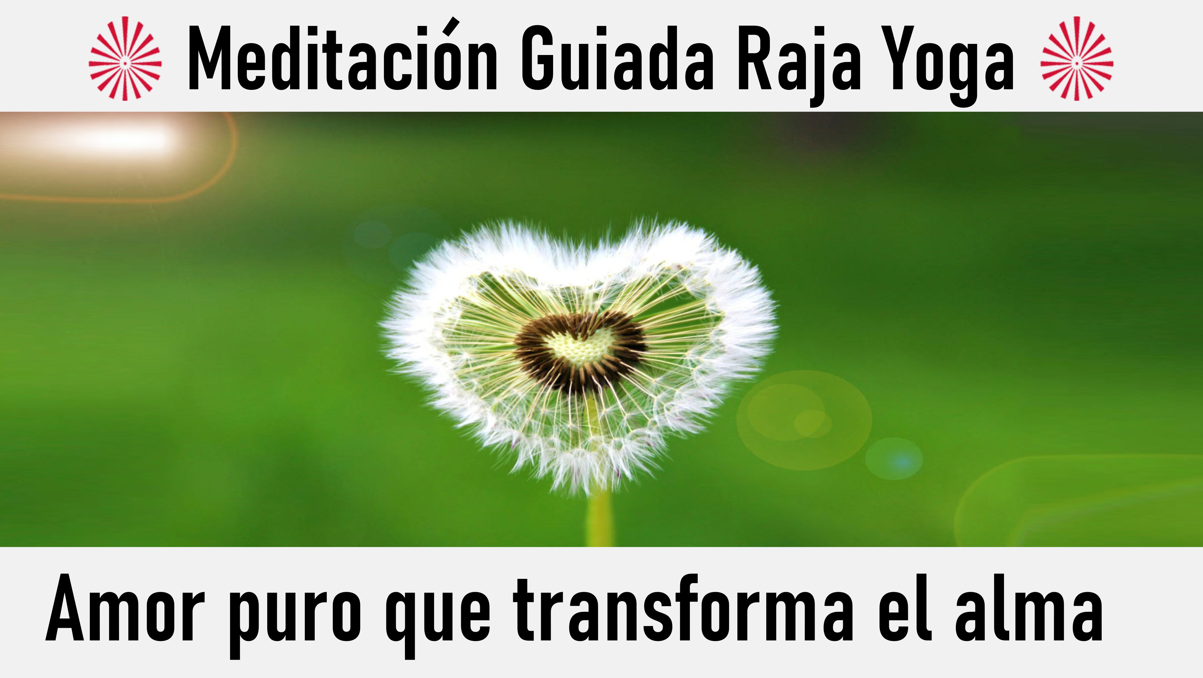 Meditación Raja Yoga: Amor puro que transforma el alma (14 Junio 2020) On-line desde Valencia