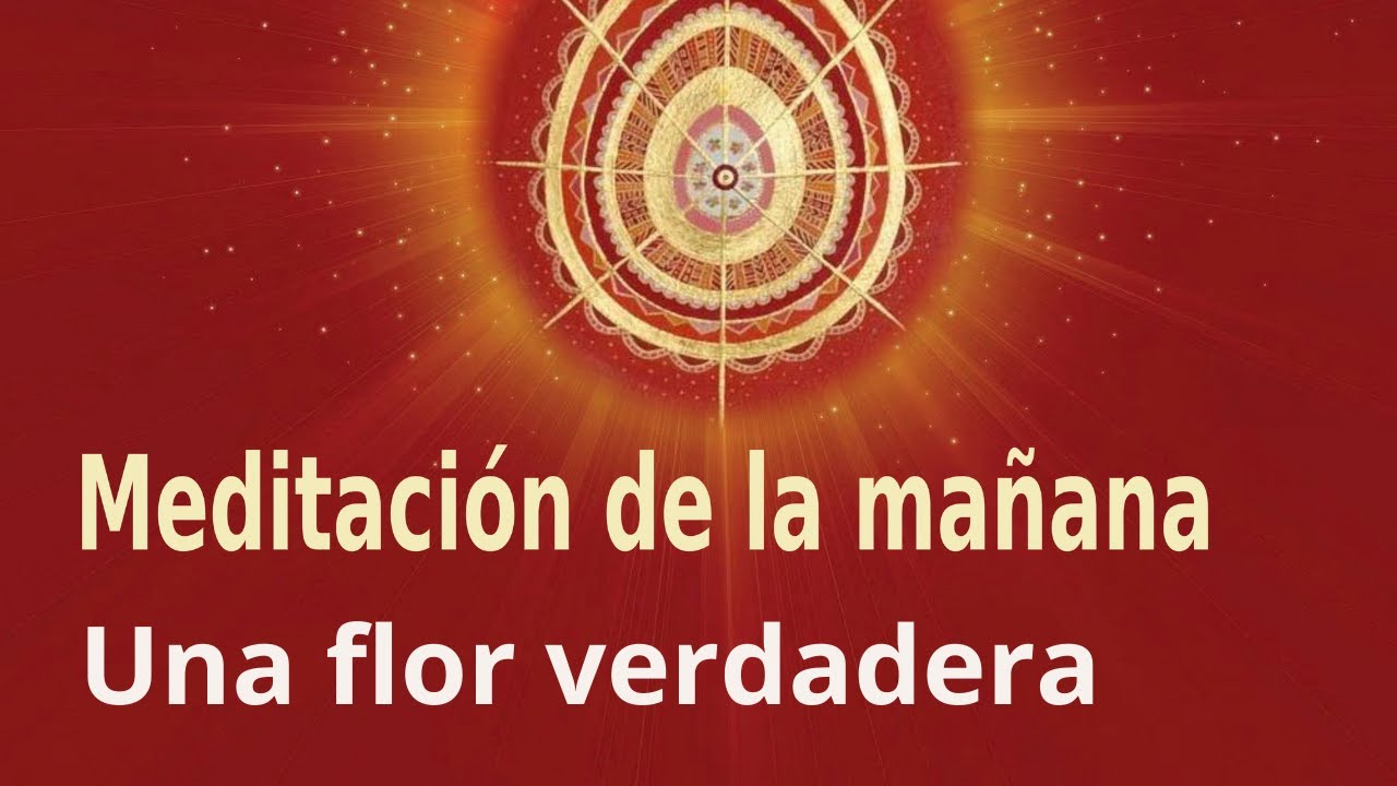 Meditación de la mañana  Una flor verdadera , con Esperanza Santos (1 Diciembre 2021)