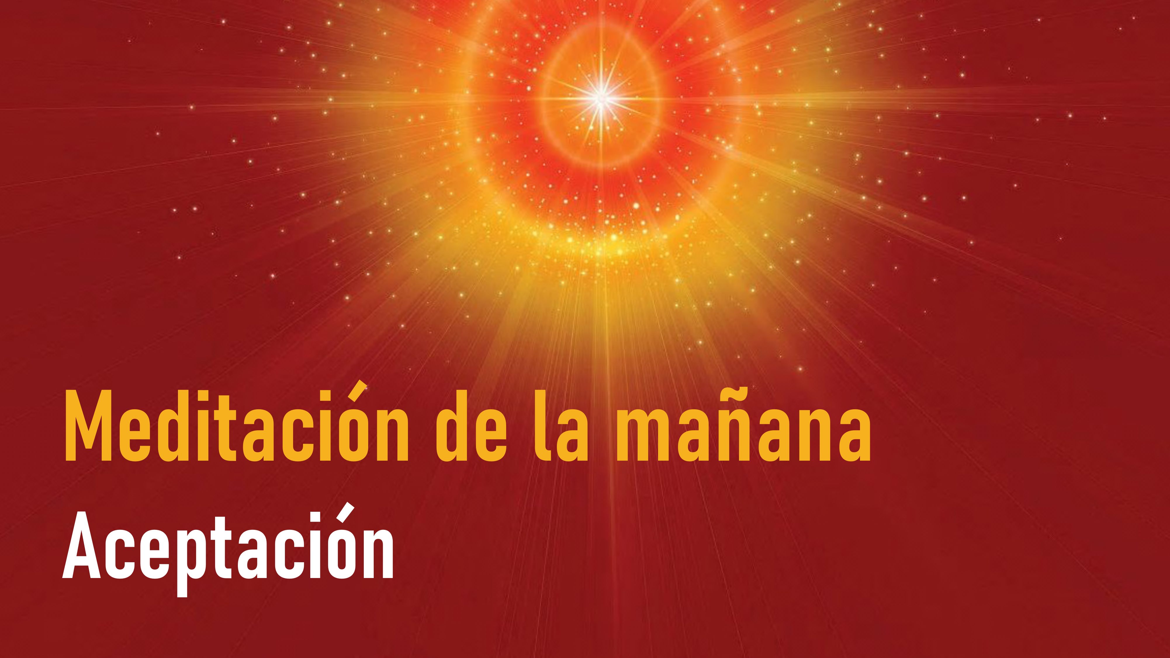 Meditación de la Mañana: Aceptación  (8Junio 2020)