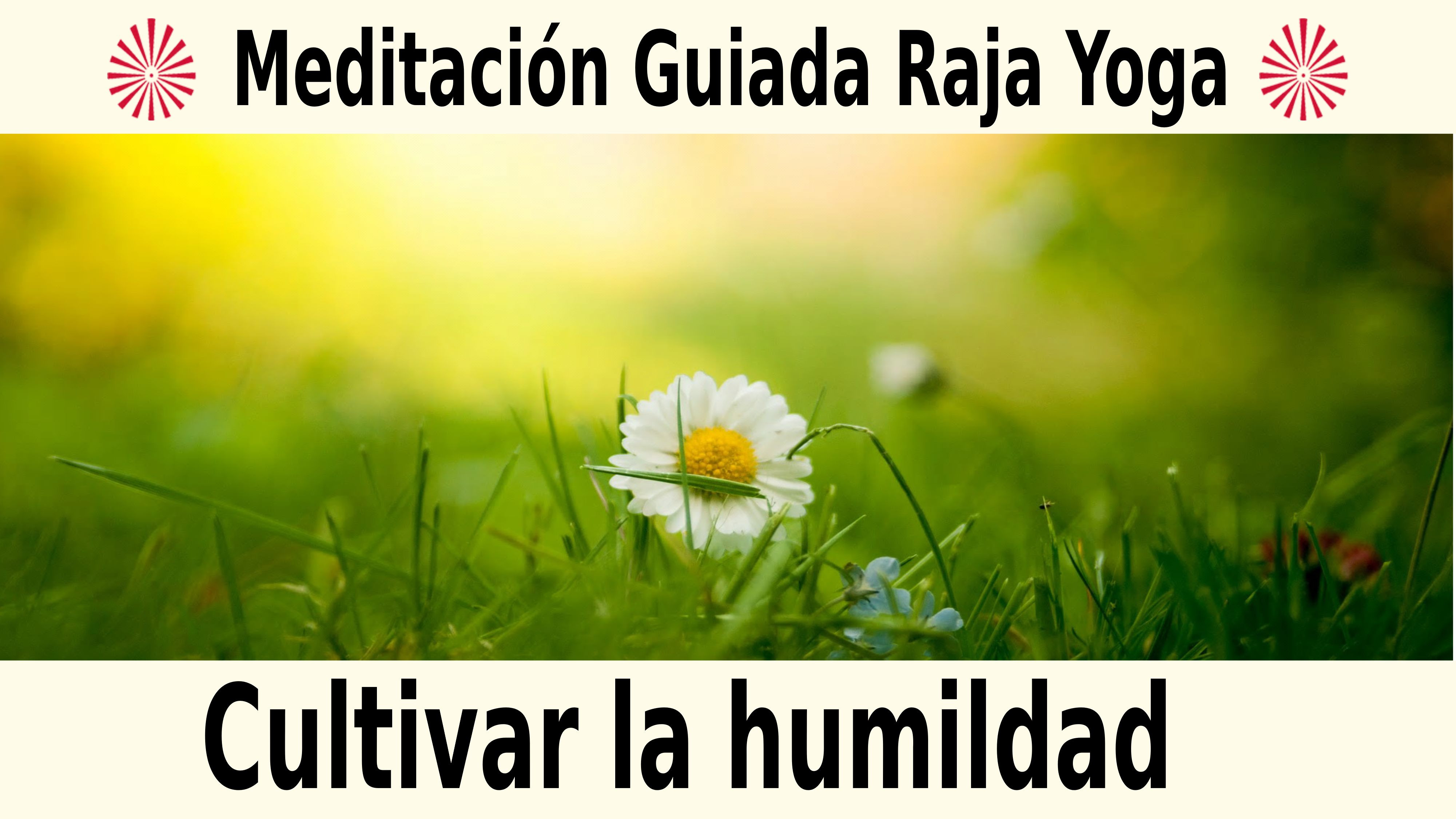 6 Noviembre 2020  Meditación guiada: Cultivar la humildad