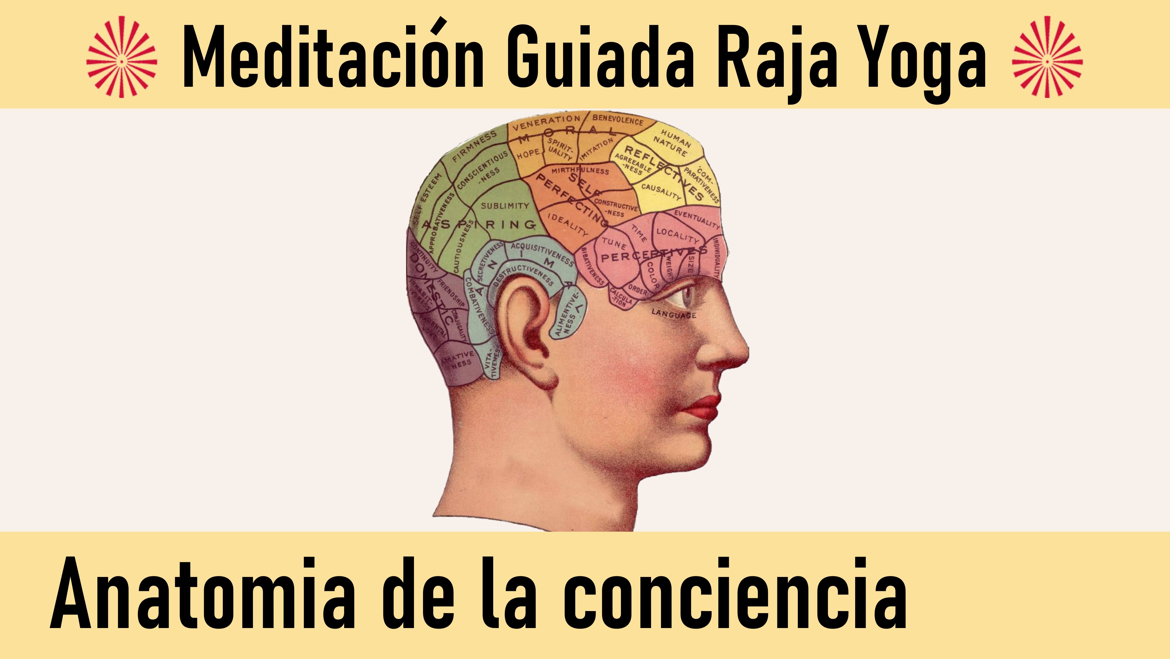 Meditación Raja Yoga: Anatomía de la conciencia (14 Julio 2020) On-line desde Mallorca