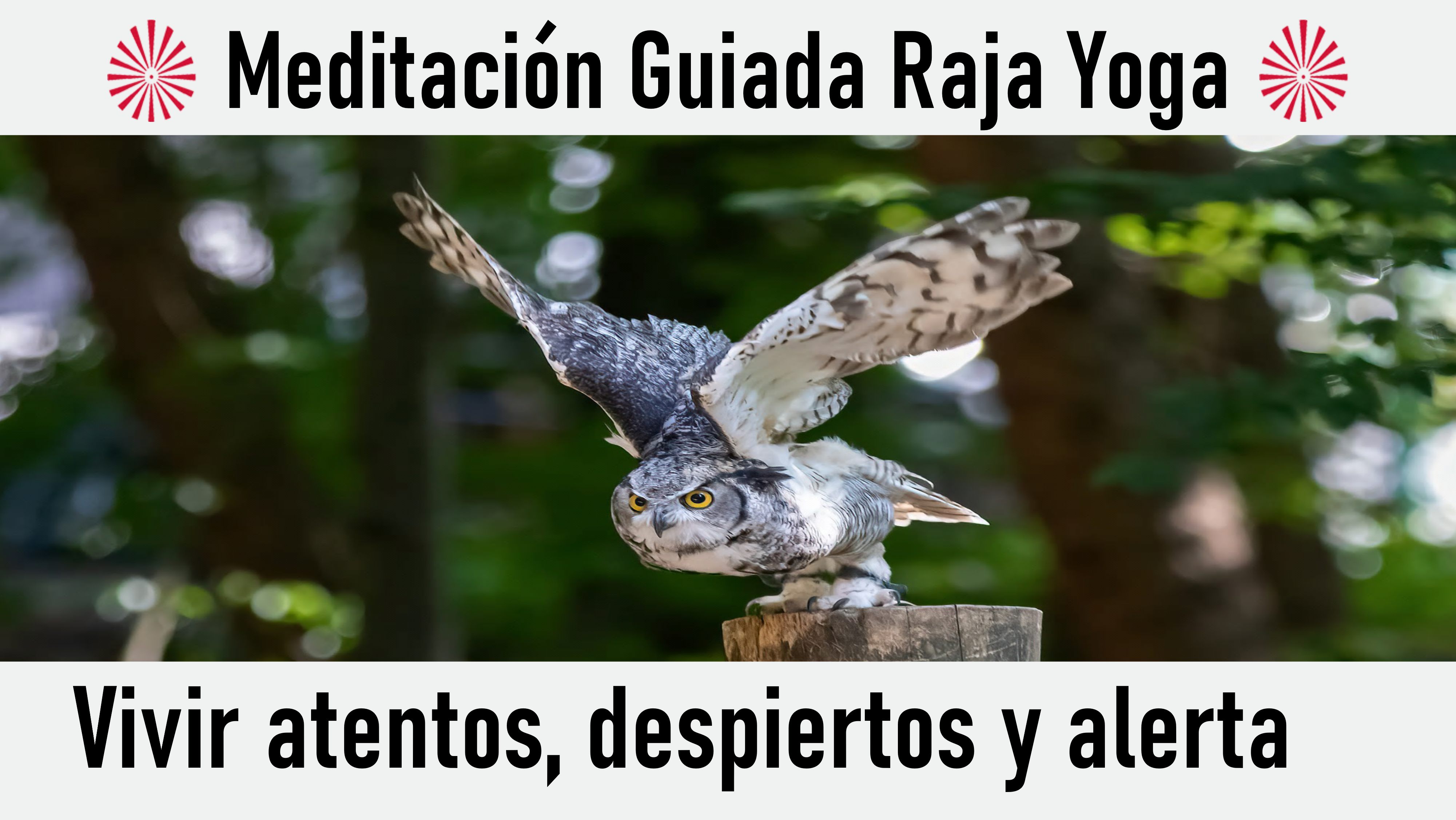 31 Octubre 2020 Meditación guiada: Vivir atentos, despiertos y alerta