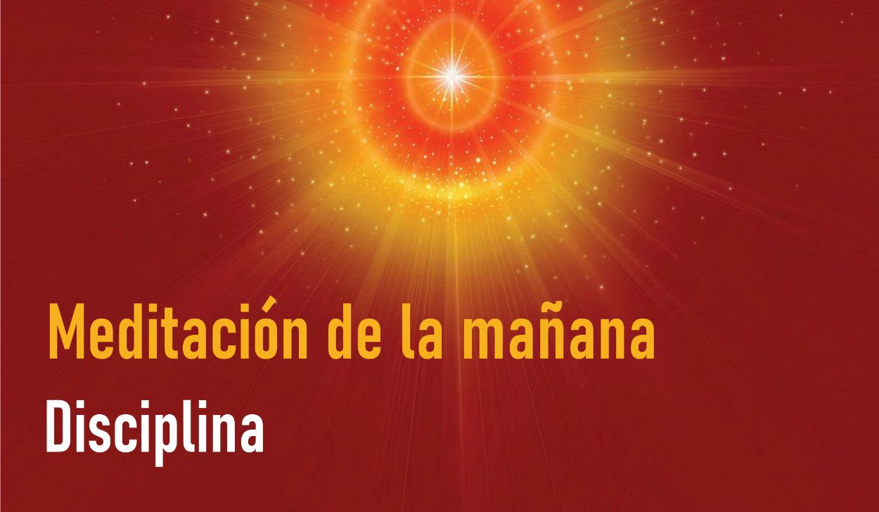Meditación de la Mañana: Disciplina  (7 Mayo 2020)