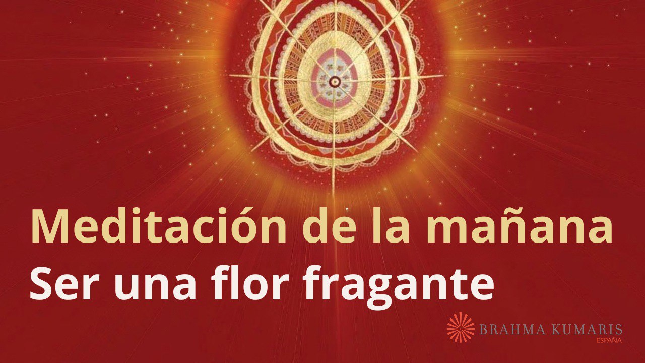 Meditación de la mañana:  Ser una flor fragante, con Guillermo Simó (30 Junio 2025)