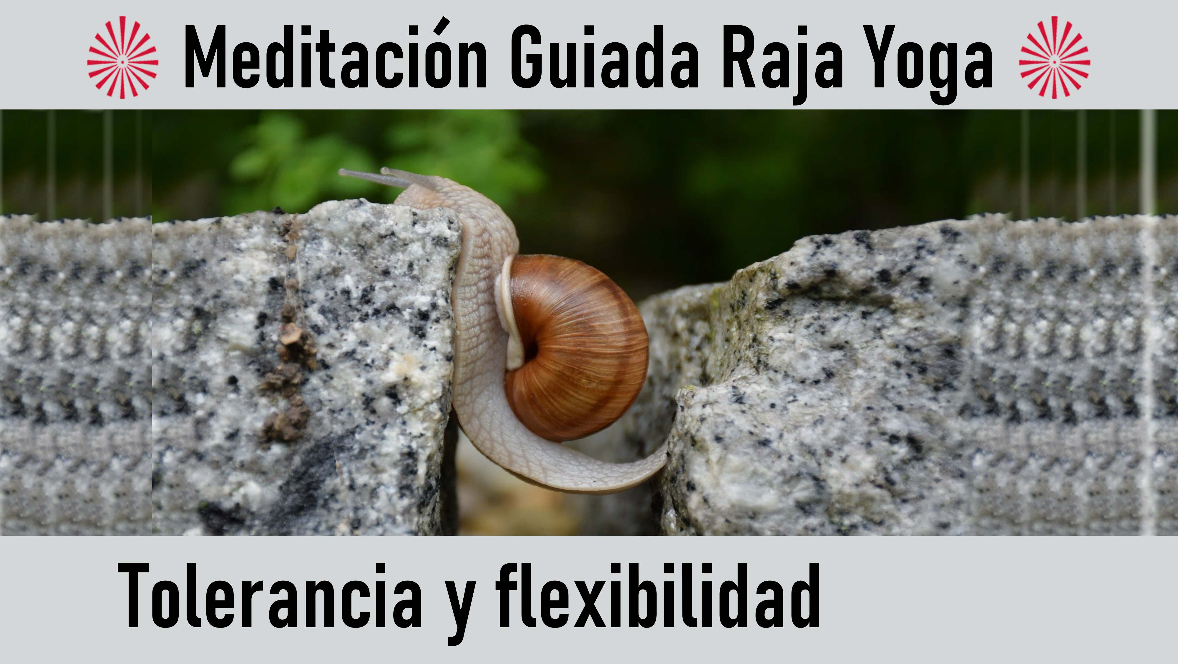 Meditación Raja Yoga: Tolerancia y flexibilidad (18 Agosto 2020) On-line desde Madrid