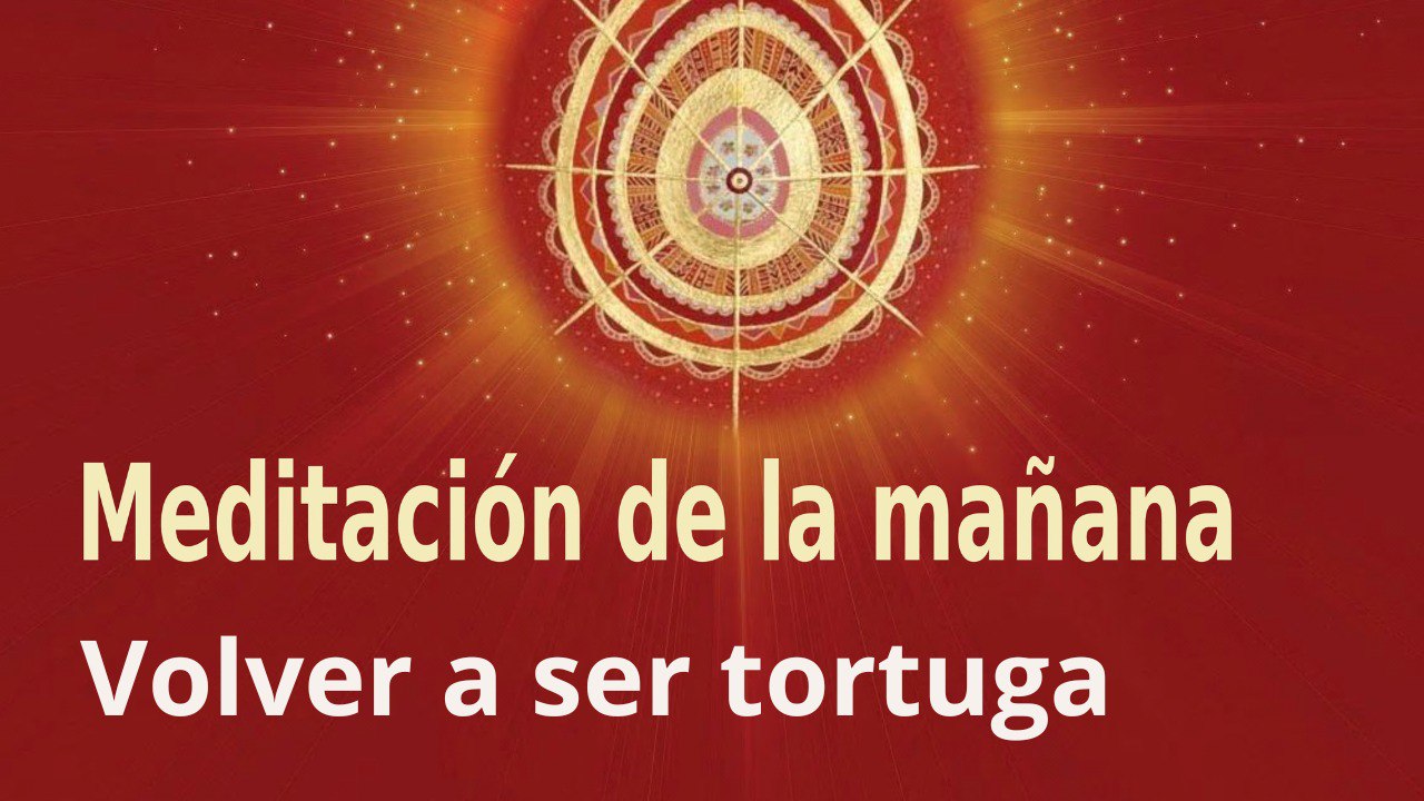 Meditación de la mañana  Volver a ser tortuga , con Marta Matarín (19 Octubre 2022)