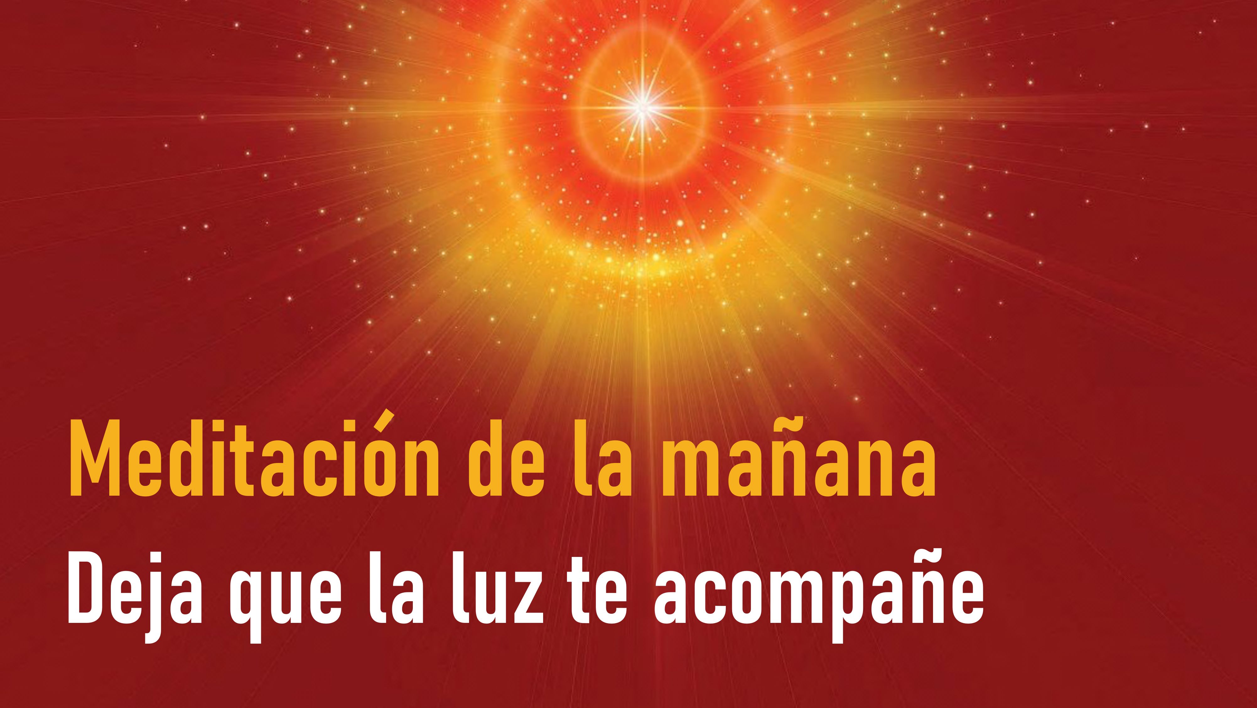 Meditación de la Mañana: Deja que la luz te acompañe  (4 Mayo 2020)