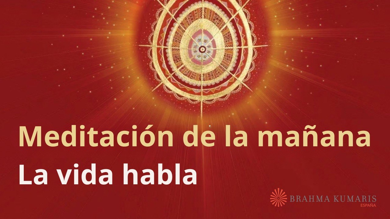 Meditación de la mañana:  La vida habla, con José Mari Barrero 22 Noviembre 2025)
