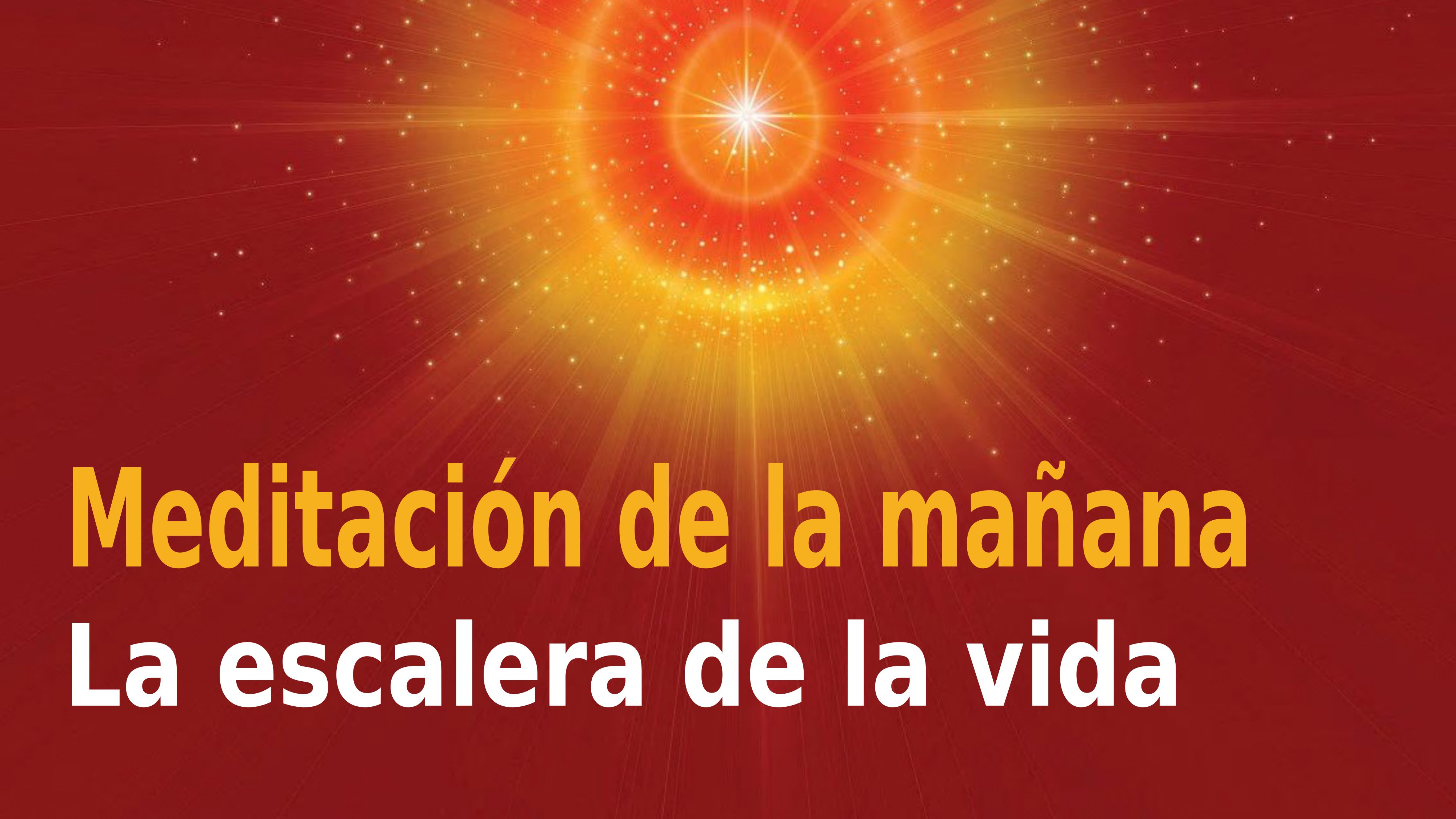 Meditación de la mañana Raja Yoga: La escalera de la vida (1 Diciembre 2020)