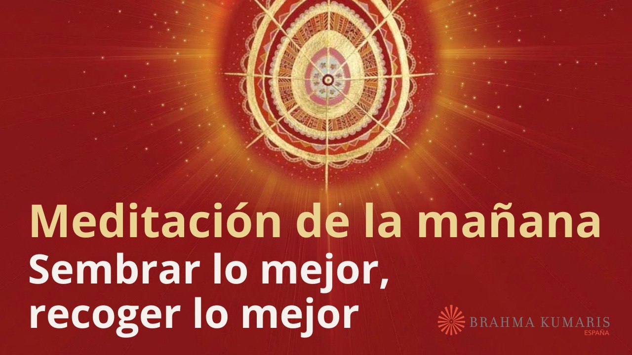 Meditación de la mañana:  Sembrar lo mejor, recoger lo mejor, con José Mari Barrero (8 Febrero 2025)