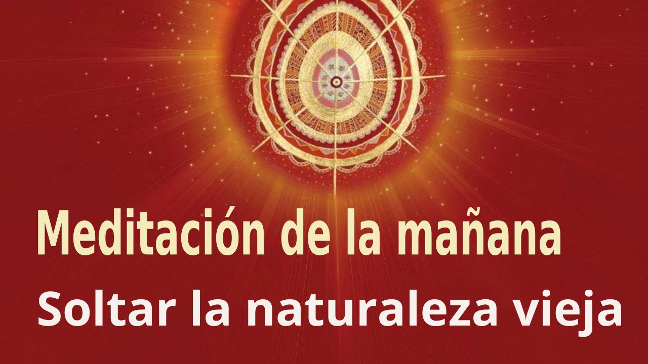 Meditación de la mañana: Soltar la naturaleza vieja , con Guillermo Simó (4 Noviembre 2022)