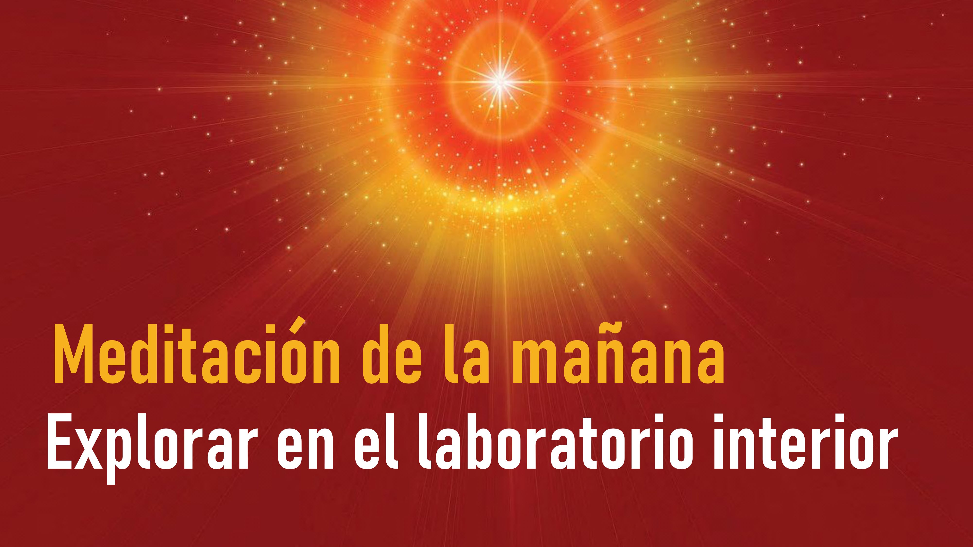 Meditación de la mañana: Explorar en el laboratorio interior (31 Julio 2020)