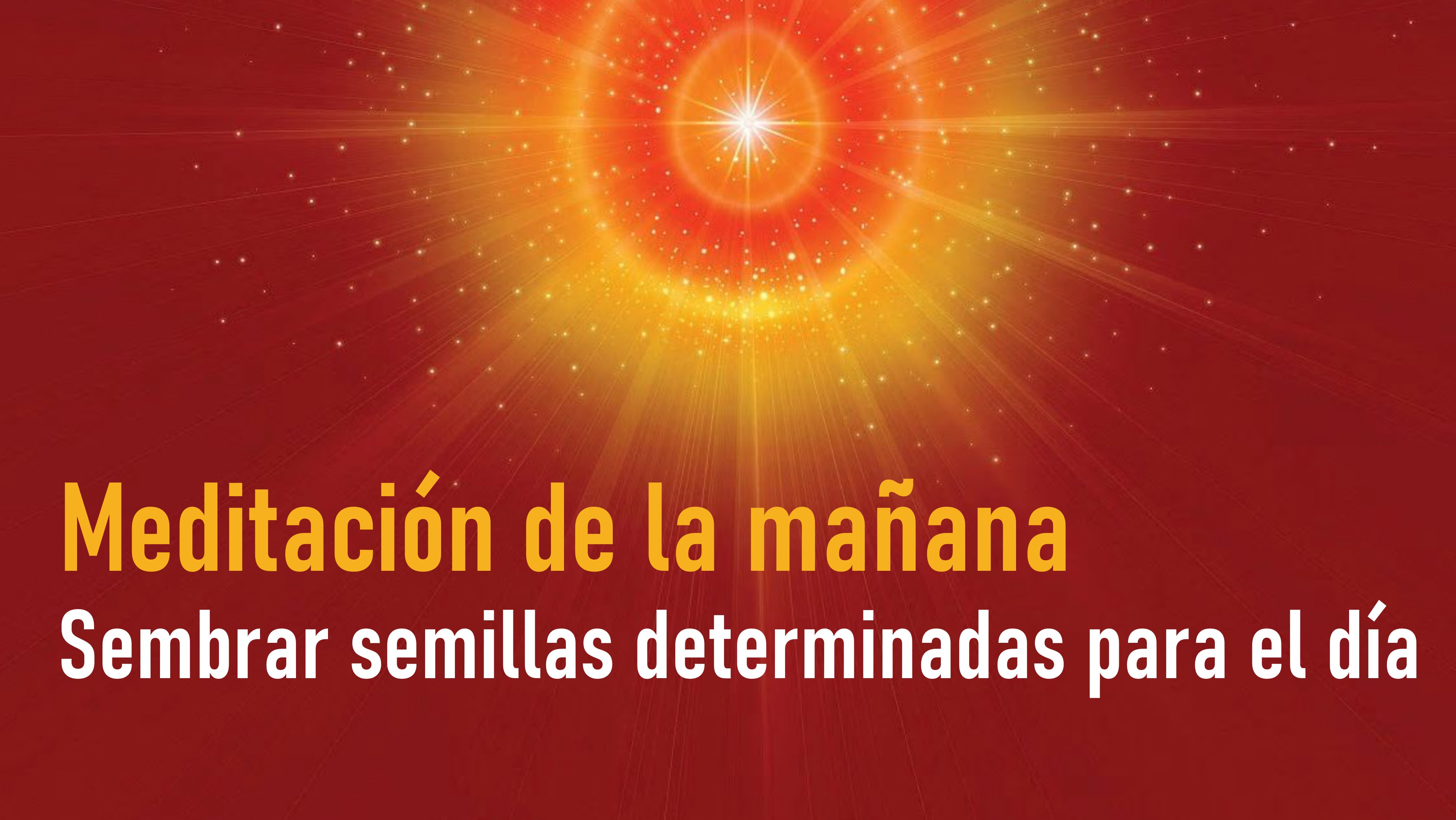 Meditación de la mañana:Sembrar semillas determinadas para el día (20 Julio 2020)