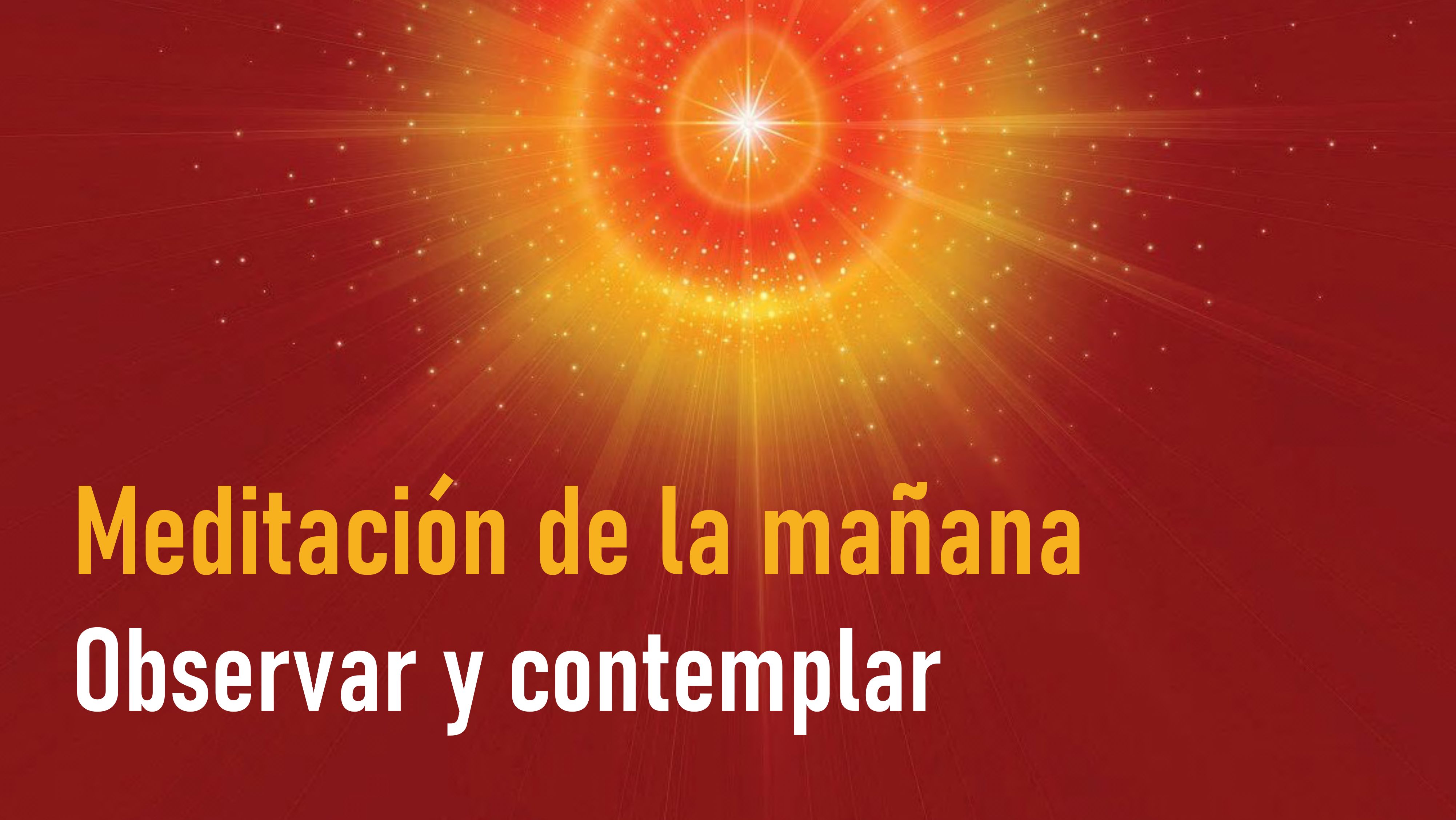 Meditación de la mañana: Observar y contemplar (4 Agosto 2020)