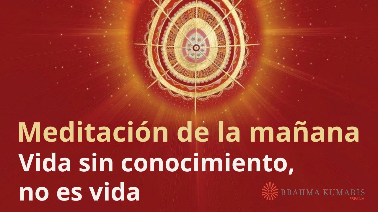 Meditación de la mañana:  Vida sin conocimiento, no es vida, con José Mari Barrero (8 Noviembre 2025)