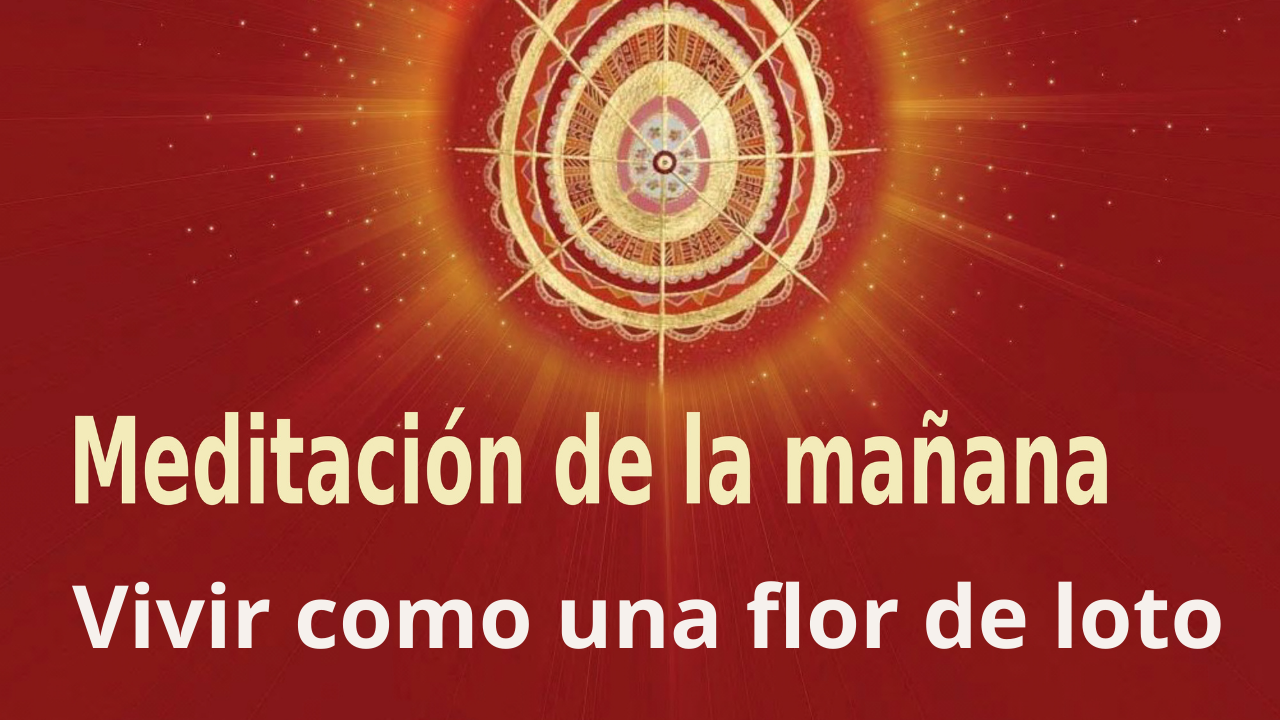 Meditación de la mañana Vivir como una flor de loto, con Guillermo Simó (2 Noviembre 2021)