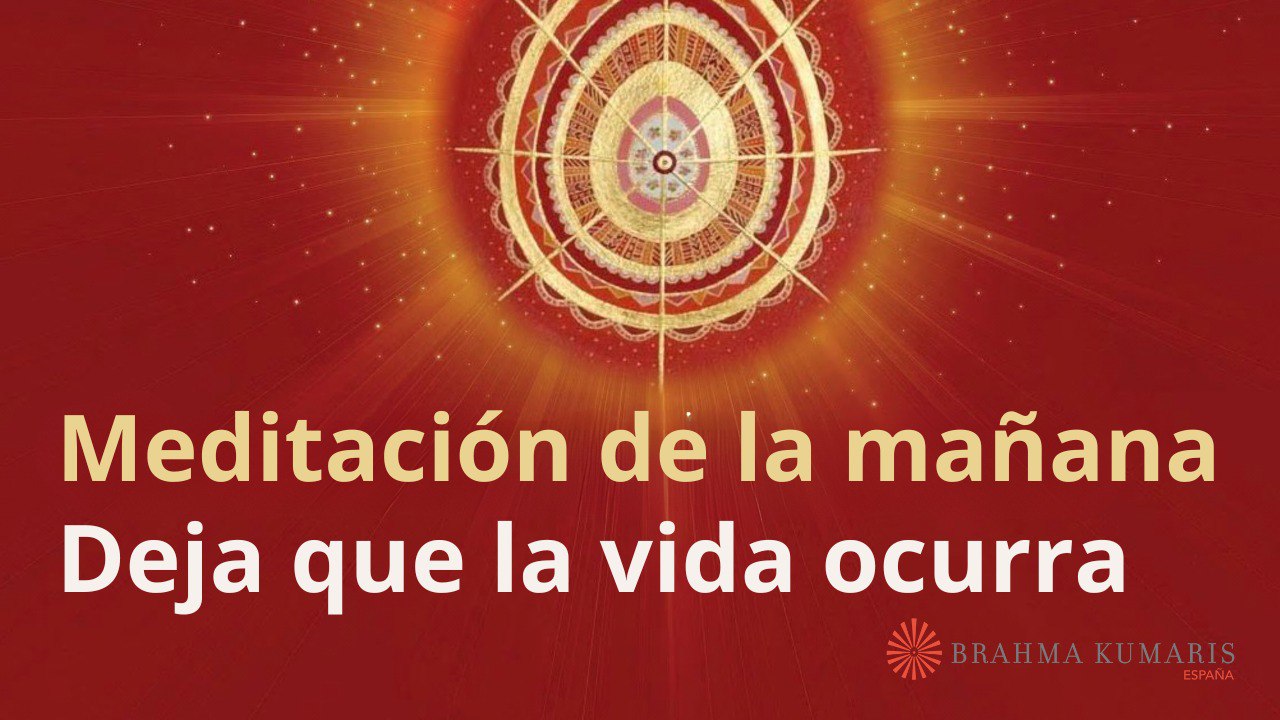 Meditación de la mañana:  Deja que la vida ocurra, con Enrique Simó (10 Octubre 2023)