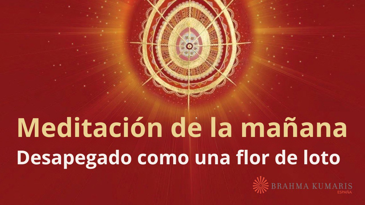 Meditación de la mañana:  Desapegado como una flor de loto, con Enrique Simó (13 Enero 2026)