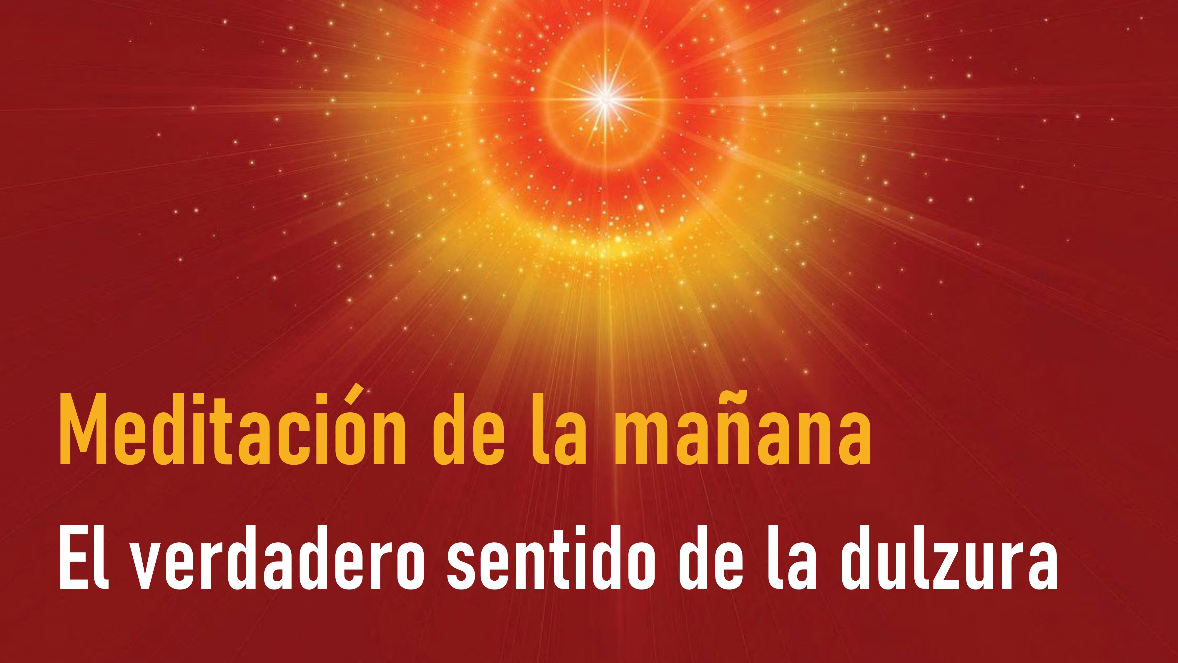 Meditación de la mañana: El verdadero sentido de la dulzura (28 Agosto 2020)