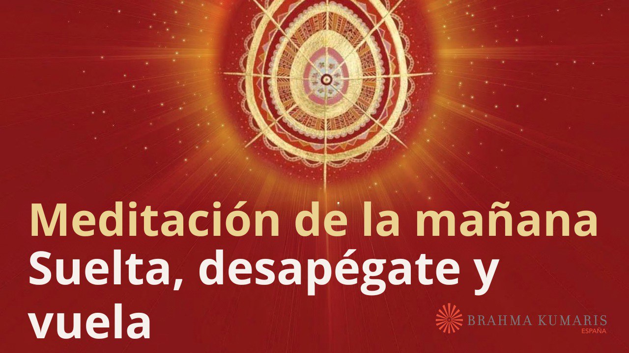 Meditación de la mañana: Suelta, desapégate y vuela, con Elizabeth Gayán (15 Noviembre 2023)