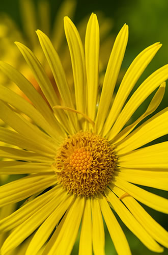 Experience dead silence