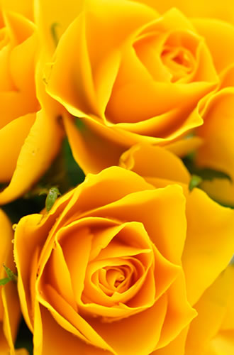 Natural nature of goodness